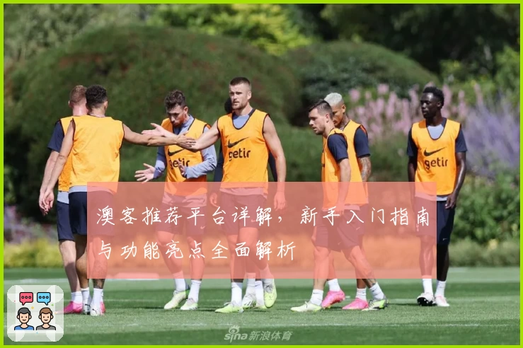 澳客推荐平台详解，新手入门指南与功能亮点全面解析
