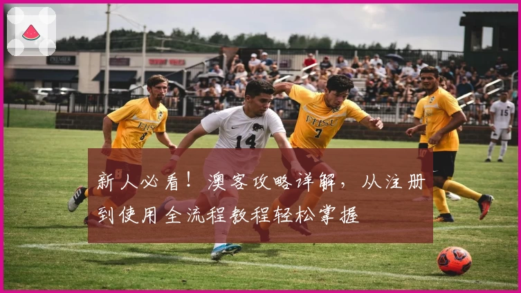 新人必看！澳客攻略详解，从注册到使用全流程教程轻松掌握