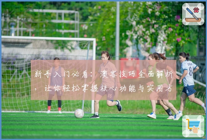 新手入门必看：澳客技巧全面解析，让你轻松掌握核心功能与实用方法